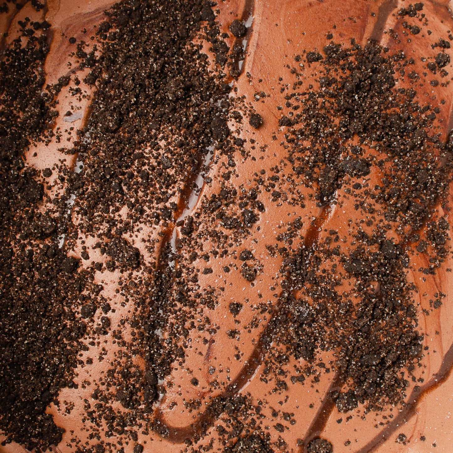 Creepy Crawlers | October Seasonal