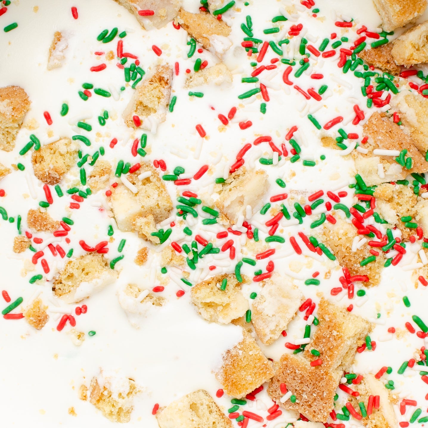 Santa's Favorite Cookie | December Seasonal