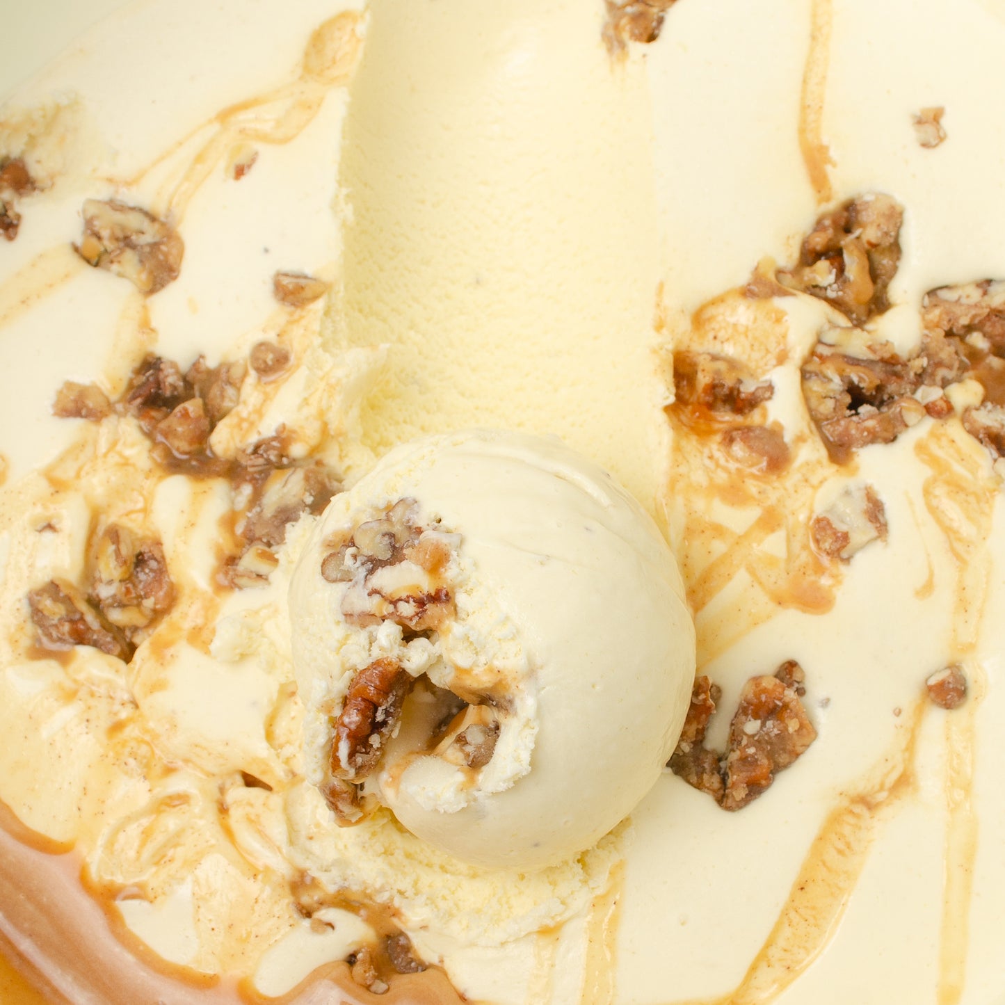 Rum, Forrest, Rum! (GF) | August Seasonal Flavor